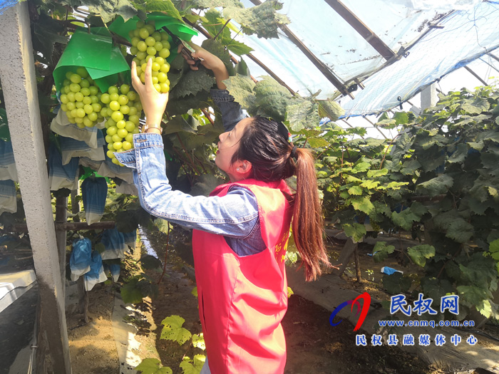 胡集乡财政所:活跃田间服务“三秋” 胡集乡财政所:活跃田间服务“三秋”