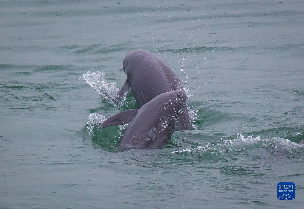 新思想引领新征程·时代答卷丨一江碧水奔流 一派新貌展现——习近平总书记谋划推动长江经济带发展谱写新篇章 新思想引领新征程·时代答卷丨一江碧水奔流 一派新貌展现——习近平总书记谋划推动长江经济带发展谱写新篇章