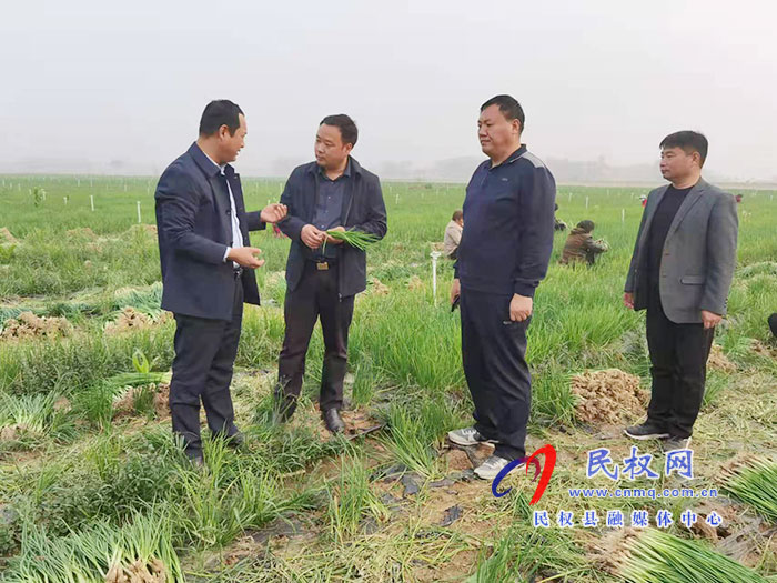 副县长李卫政到白云寺镇调研土地流转和高标准良田建设工作