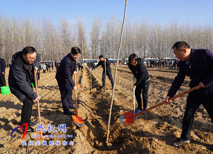 我县组织开展冬季义务植树活动