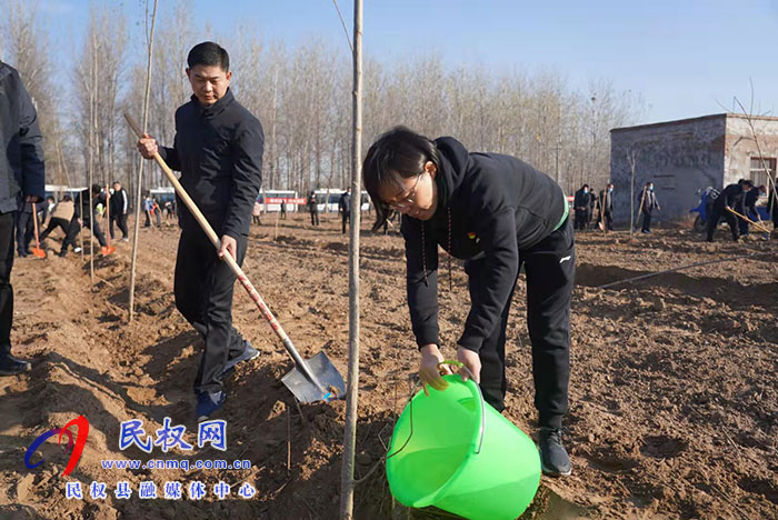 我县组织开展冬季义务植树活动