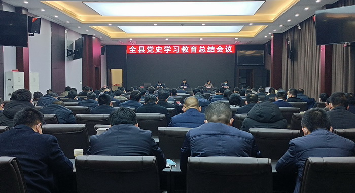 我县召开党史学习教育总结会议