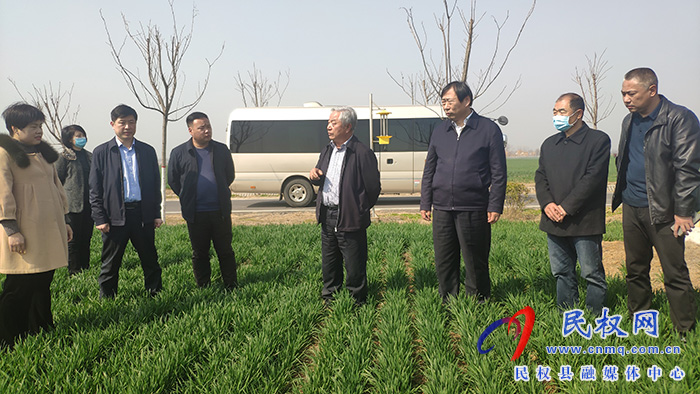 省农业农村厅党组成员、副厅长王俊忠到民调研春季麦田管理工作