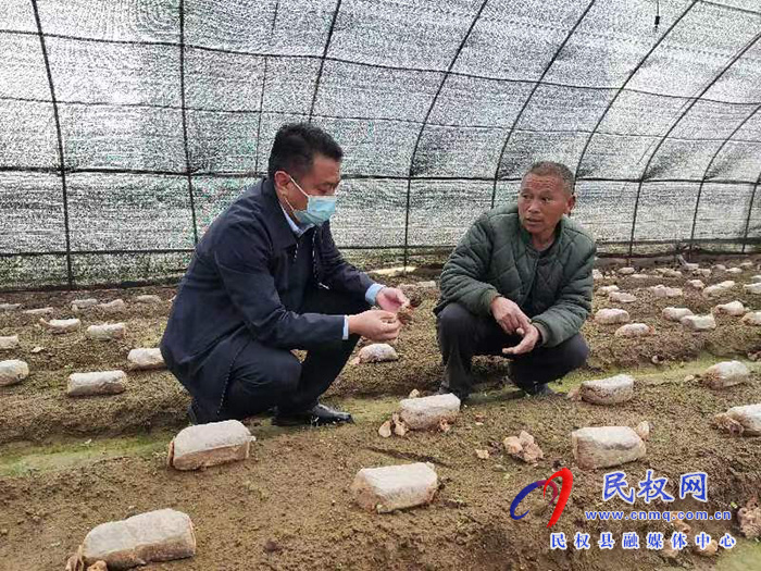 县高新区管委会副主任张玉栋到龙塘镇督导疫情防控、“三零创建”等重点工作