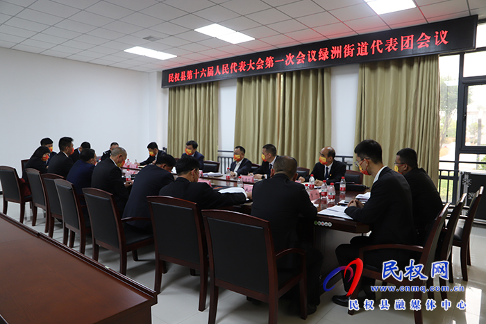 县领导周明河、王景义参加各代表团审议