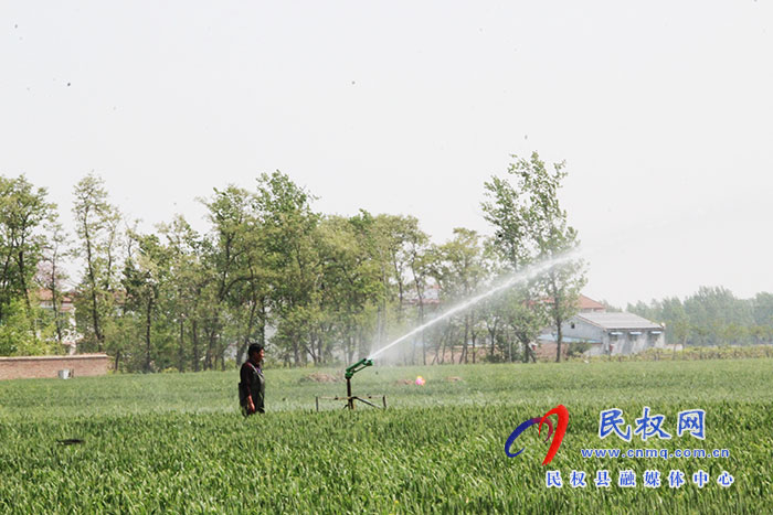 花园乡：搞好小麦管理  确保丰产丰收