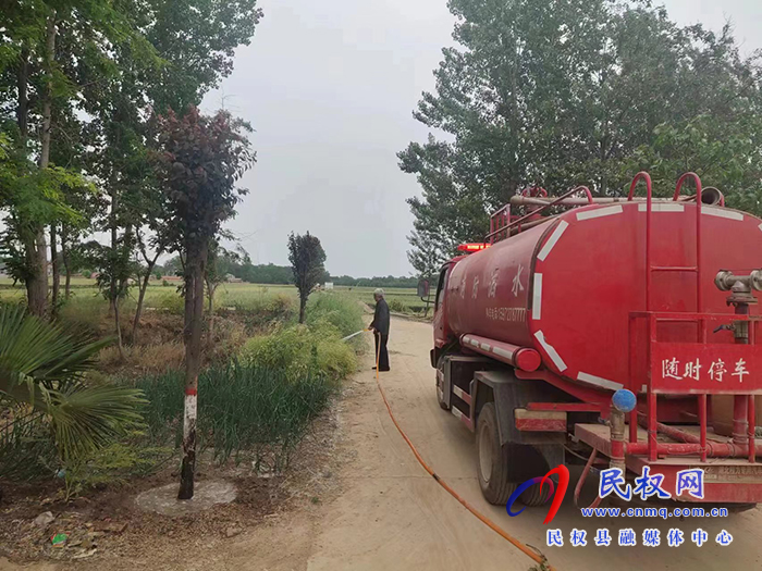 王庄寨镇三项措施加强树木夏季管护
