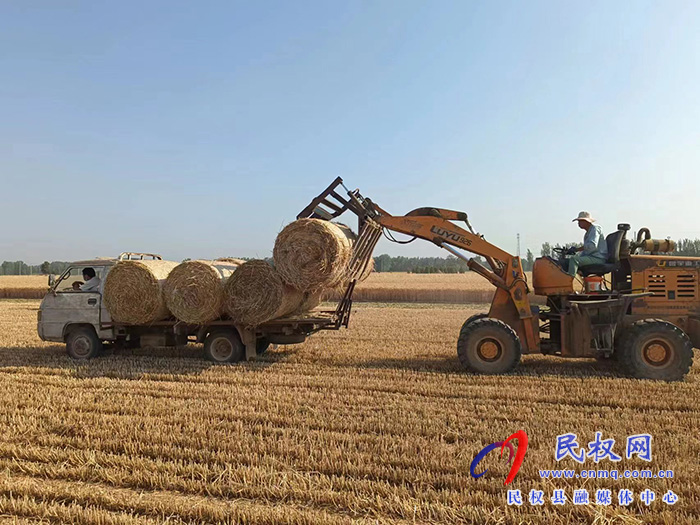 野岗镇：加强秸秆利用变废为宝促增收