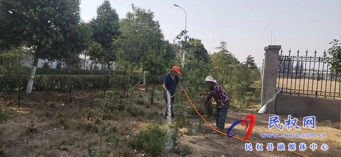 南华街道办事处加强绿化苗木管护工作