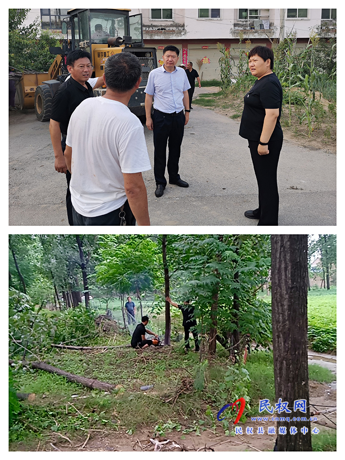 王庄寨镇：强力推动违法违规占用耕地植树造林整治工作