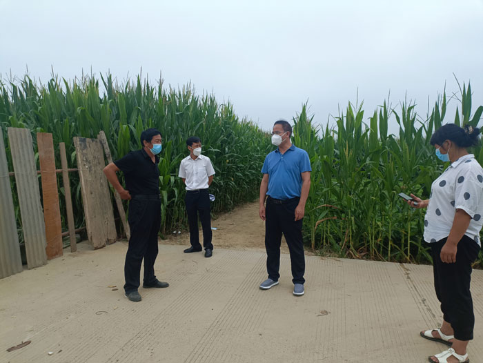县委常委、常务副县长王景义在北关镇督导疫情防控社会面管控和消杀工作