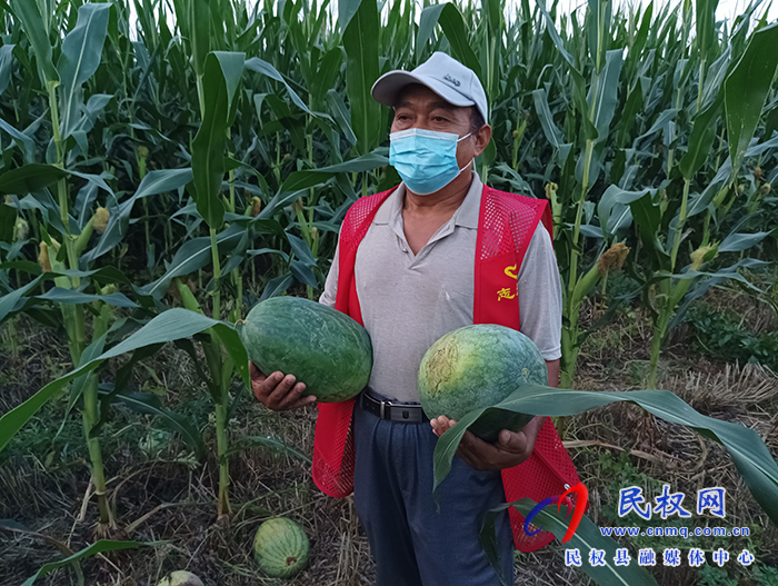 民权县花园乡：为滞销西瓜找销路