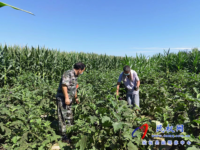 王桥镇：抗疫生产两不误，复工复产保增收