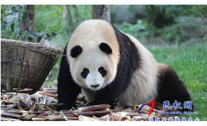 民权县生物多样性日主题图片展