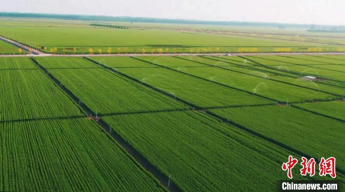 河南产粮第一大市将再建270万亩高标准农田示范区