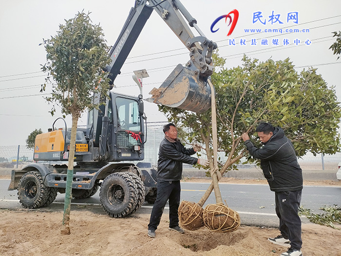 民权县花园乡：植树造林让村庄绿起来