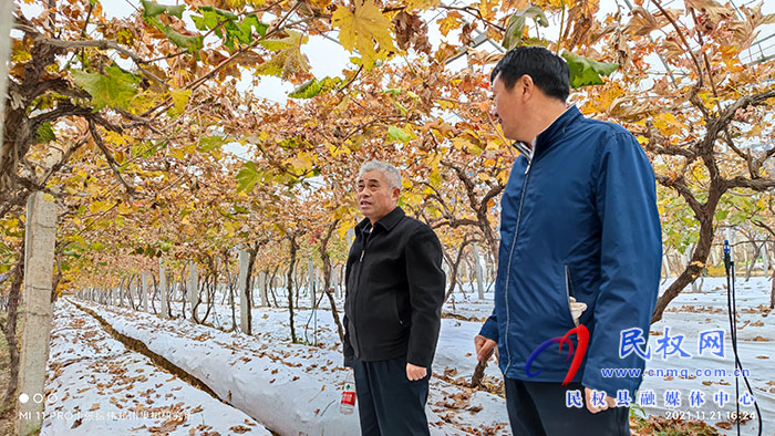 小菌菇 大能量——林下种植菌菇，助推乡村振兴