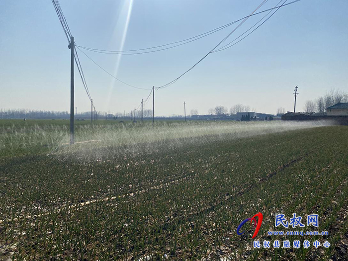 王桥镇：开启“春灌”模式  小麦喝上返青水