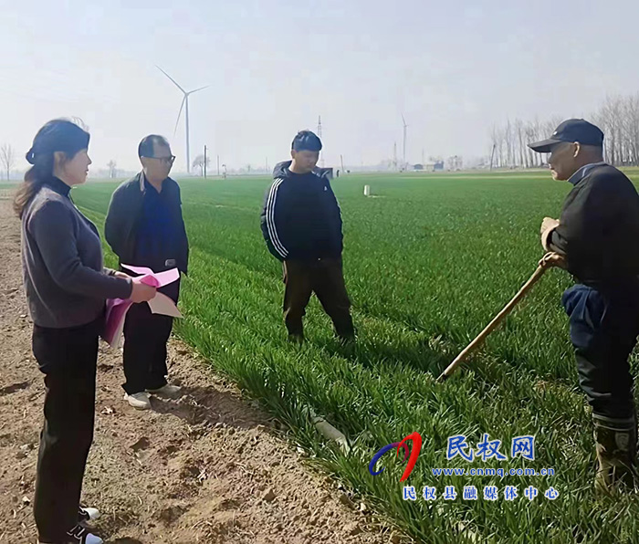 民权县农业农村局开展小麦春季技术管理服务活动