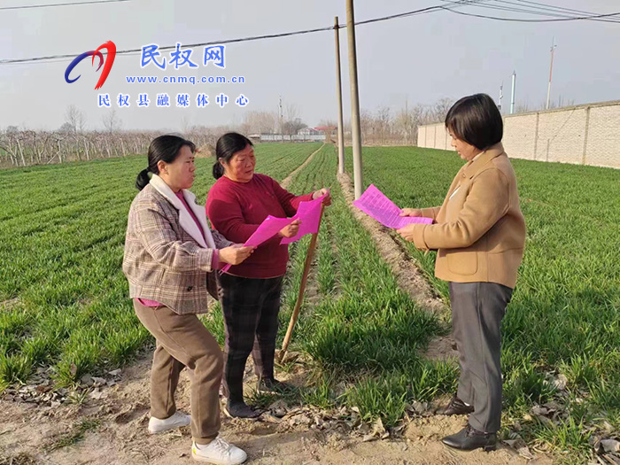 民权县农业农村局开展小麦春季技术管理服务活动