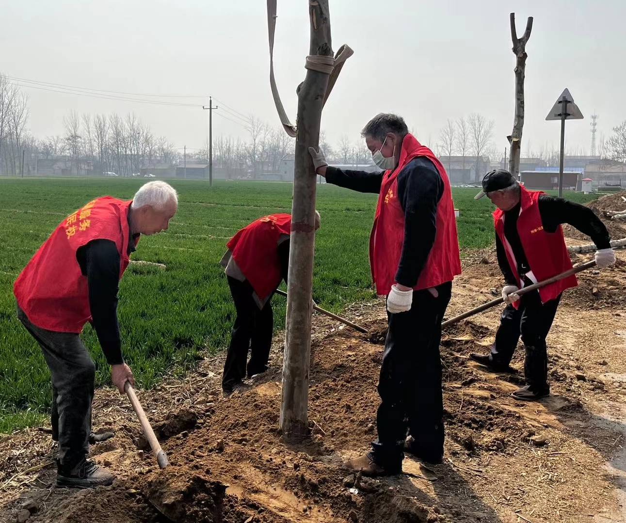 白云寺镇新时代文明实践所开展植树节志愿服务活动