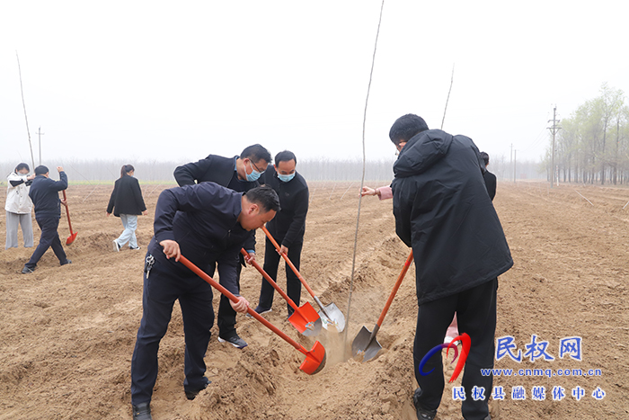 县四大家领导义务植树再添新绿