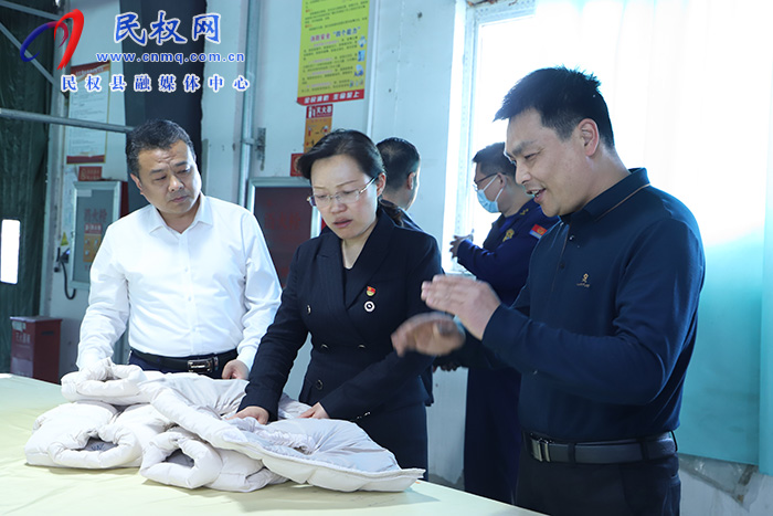 县委副书记、县长王静娴查看安全生产工作