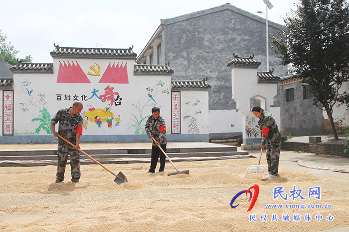 花园乡：三夏帮扶队  活跃在田间