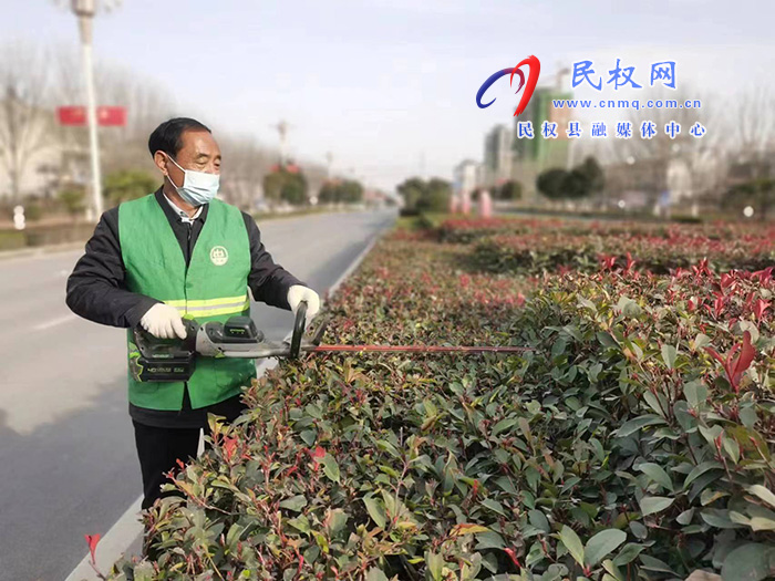 栽花种草植树忙 为城市增颜美容