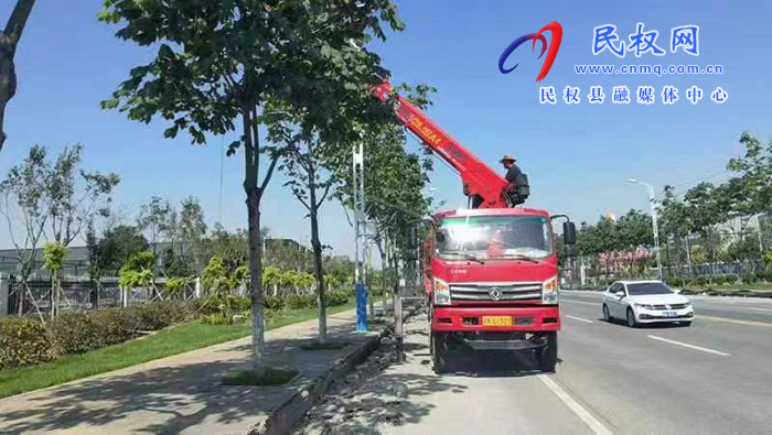 栽花种草植树忙 为城市增颜美容