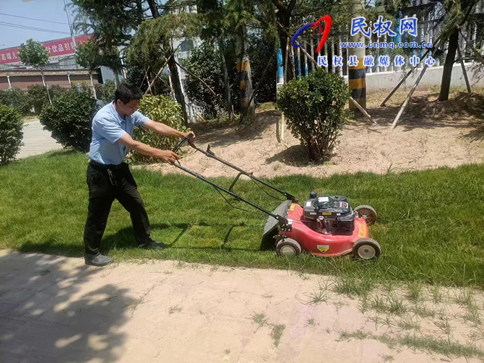 栽花种草植树忙 为城市增颜美容