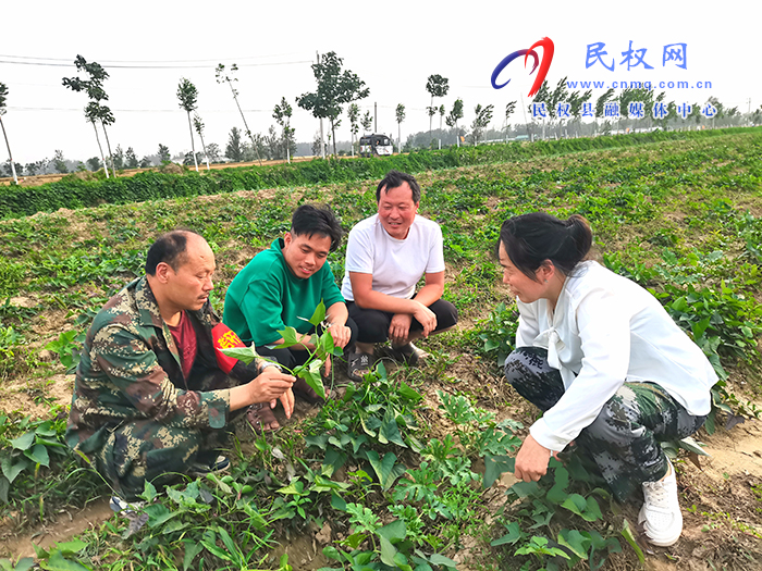 龙塘镇：夏种正当时 夏管抓落实