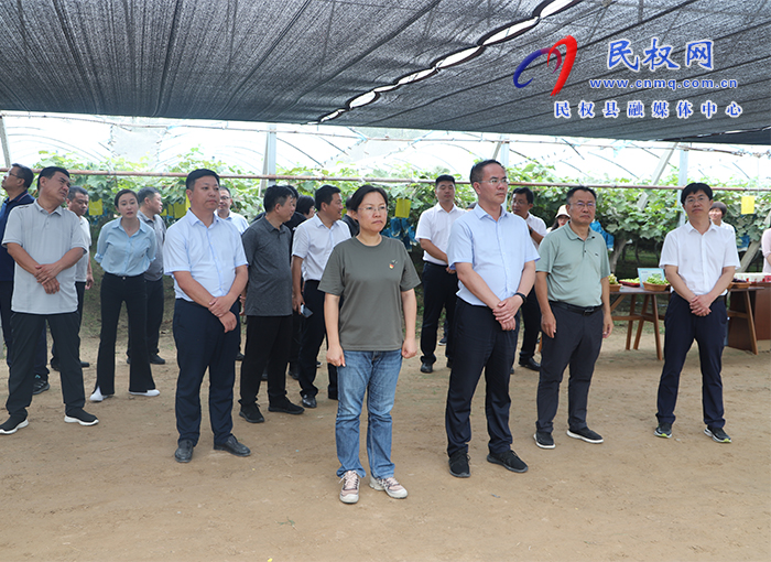 我县开展2023年度乡镇（街道）上半年重点工作观摩活动