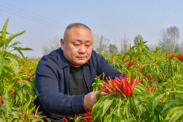 市劳动模范赵转运