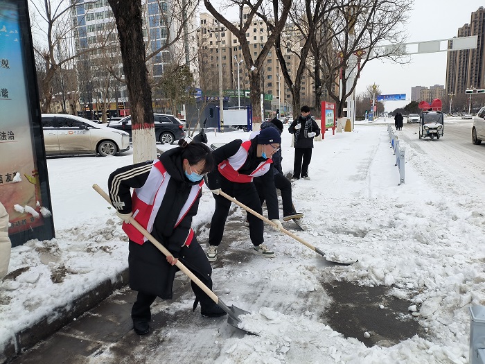 团县委组织大学生志愿者开展清雪除冰志愿服务活动