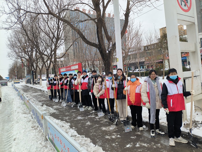 团县委组织大学生志愿者开展清雪除冰志愿服务活动