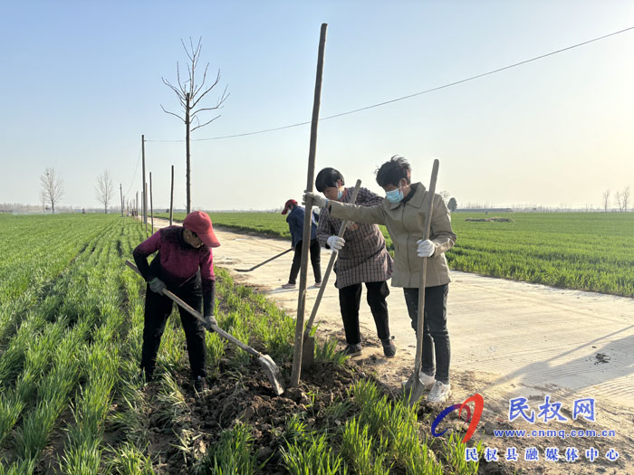 伯党乡开展春季植树行动