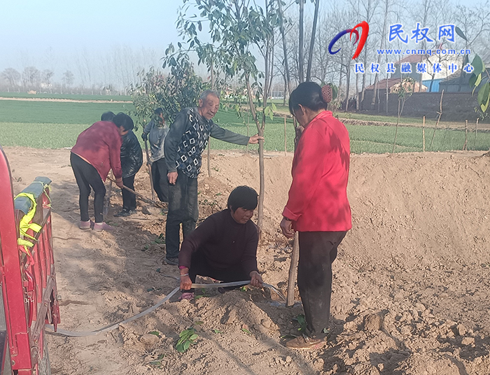 龙塘镇：履“植”尽责 绿化重栽更重管