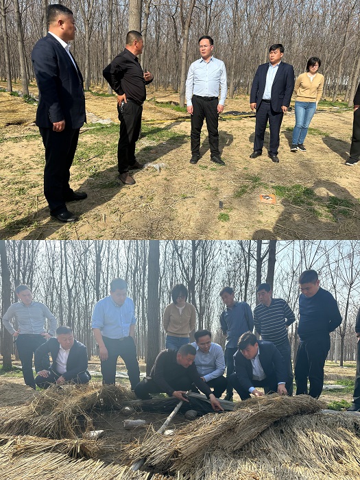 县委副书记、县长王景义到野岗镇调研指导农业产业发展工作