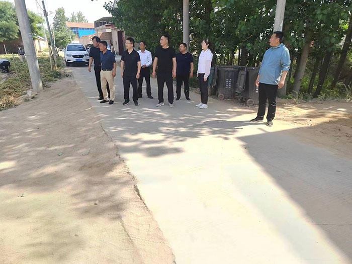 王桥镇：观摩点评找差距 人居环境再提升