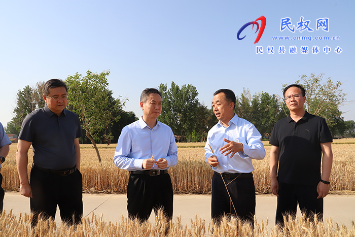 市长摆向阳到民调研督导“三夏”生产时强调 抓细抓实“三夏”各项工作 为全年粮食丰收奠定坚实基础