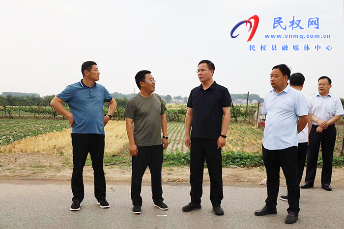 县委副书记、县长王景义查看雨后农业设施受损情况