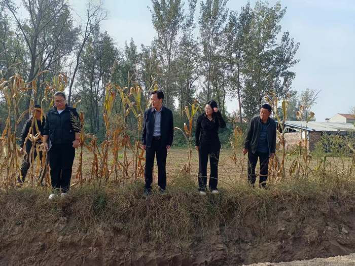 北关镇：多措并举抓实水系连通