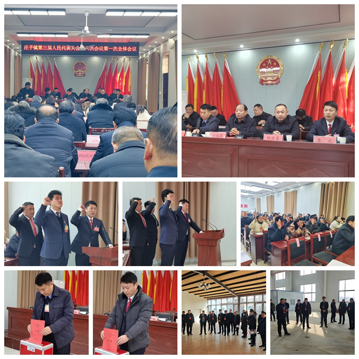 庄子镇：召开第三届人民代表大会第六次会议