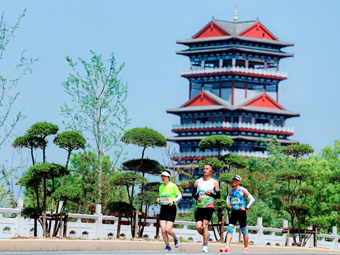 故道春好日 健儿竞跑时——2025民权马拉松暨第三届申甘林带生态马拉松赛激情开跑