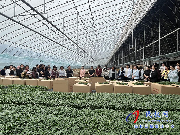 汲取劳模力量 展现巾帼担当