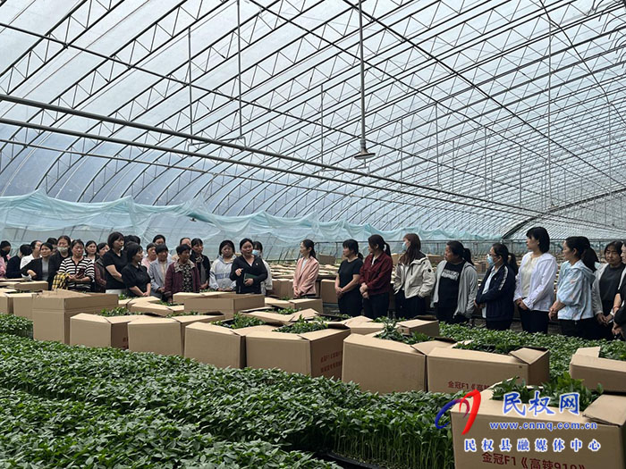 汲取劳模力量 展现巾帼担当