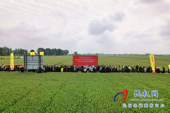 全省“院县共建”优质小麦单产提升和订单生产现场观摩会在民举行