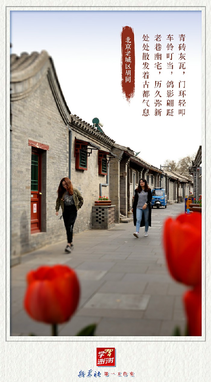 学习进行时丨这些老街旧巷，在时光里绽放芳华