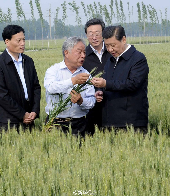 学习进行时丨是贡献，也是奉献——习近平总书记和河南的故事